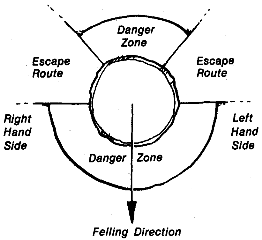 graphic showing the escape routes at 45 degree angles to the felling direction