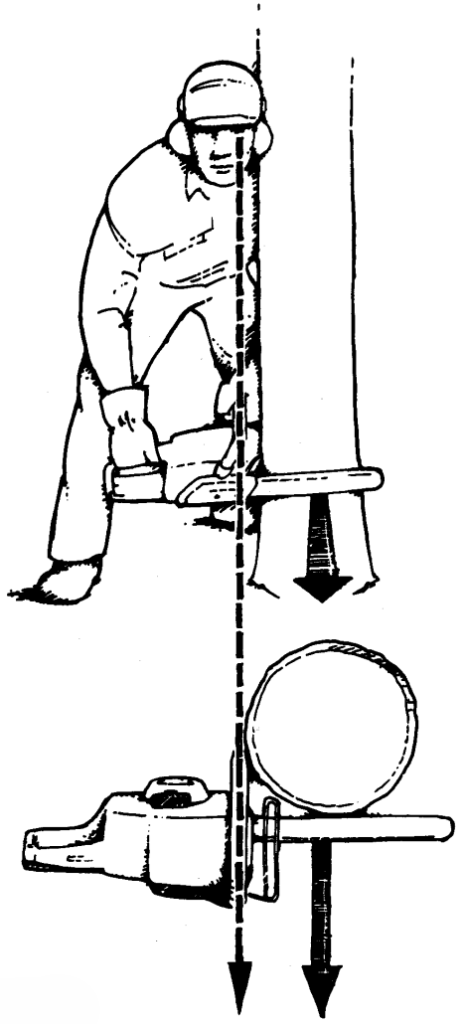 graphic showing a man standing behind a tree and cutting it with a chainsaw from the front, aligned with the intended felling direction