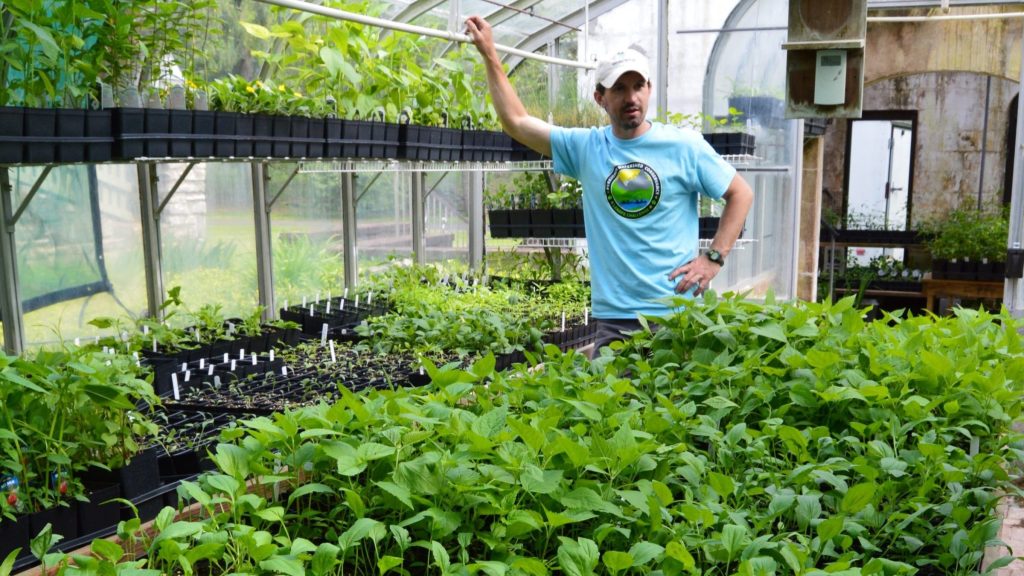 A man stands in a greenhouse behind a palette full of native plants