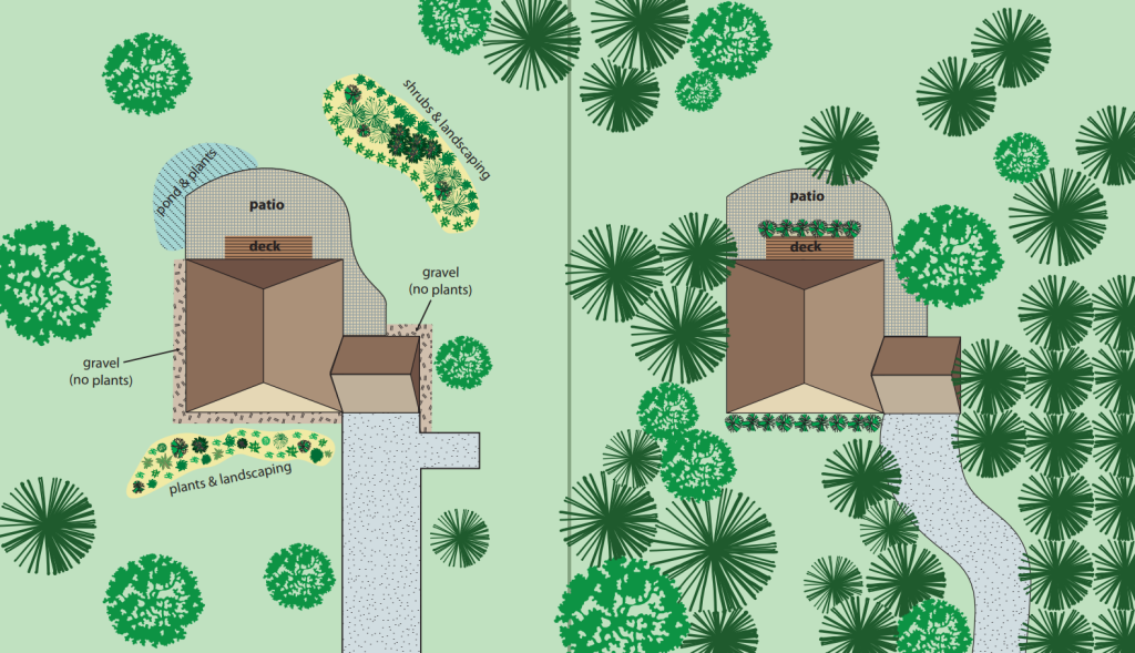 A diagram giving a side-by-side comparison of firewise landscaping and non-firewise landscaping.