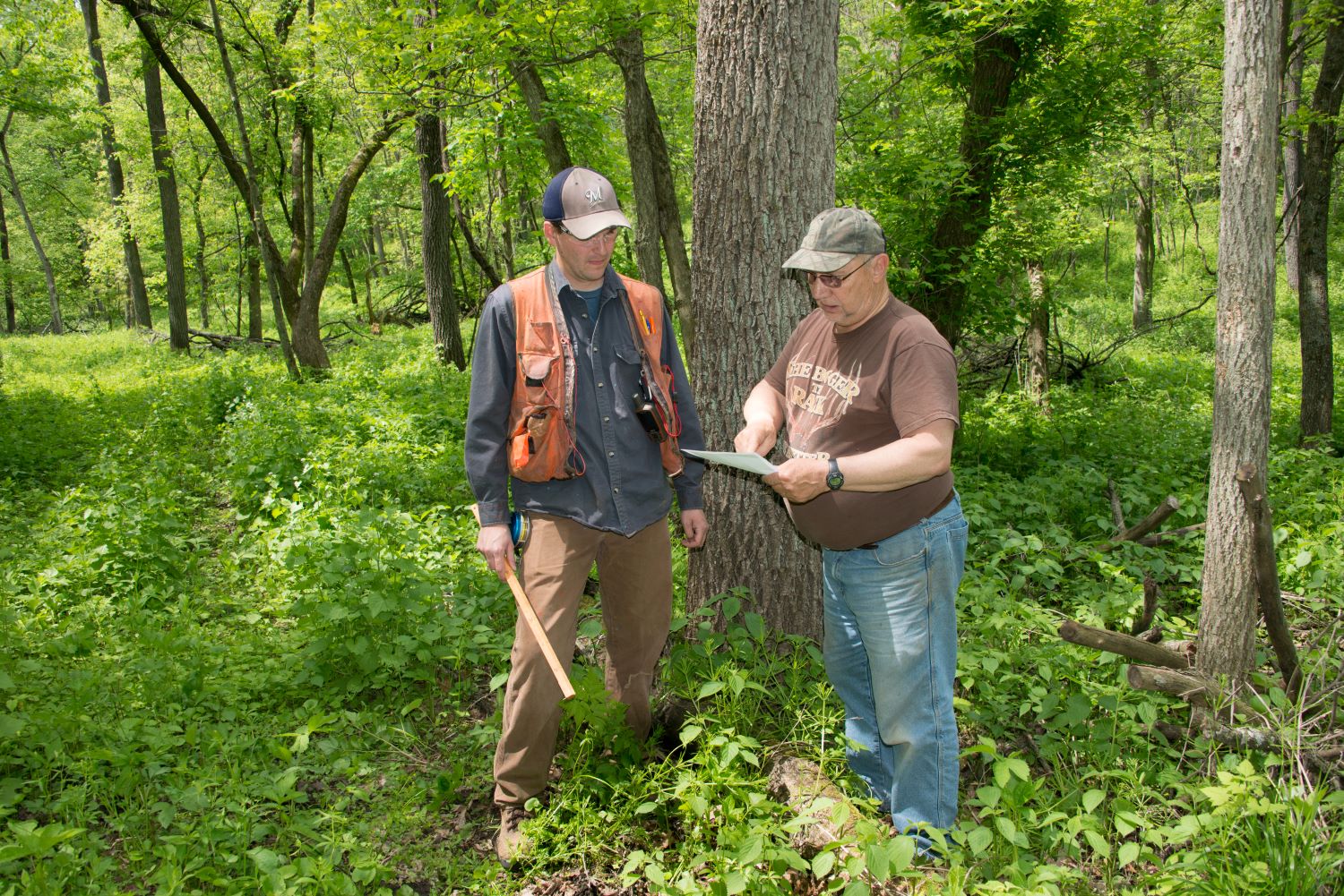 Forester talking with a landowner in the woods