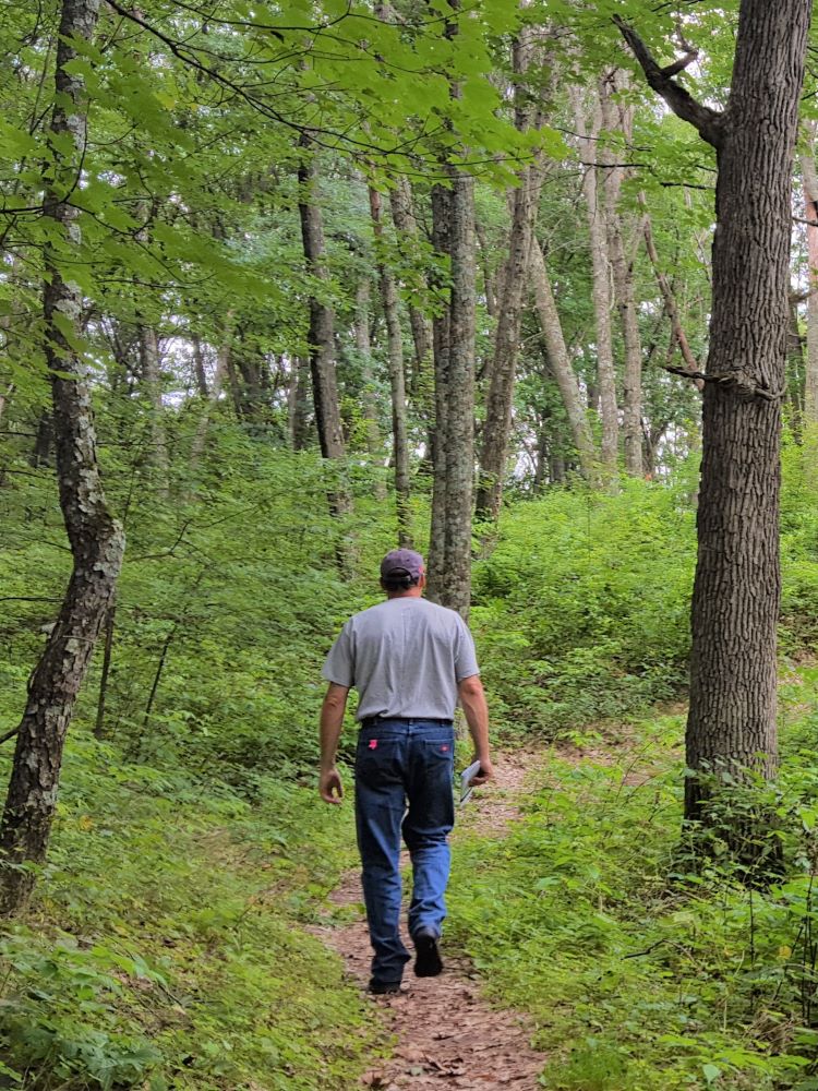 A forester walks on a narrow trail through the woods