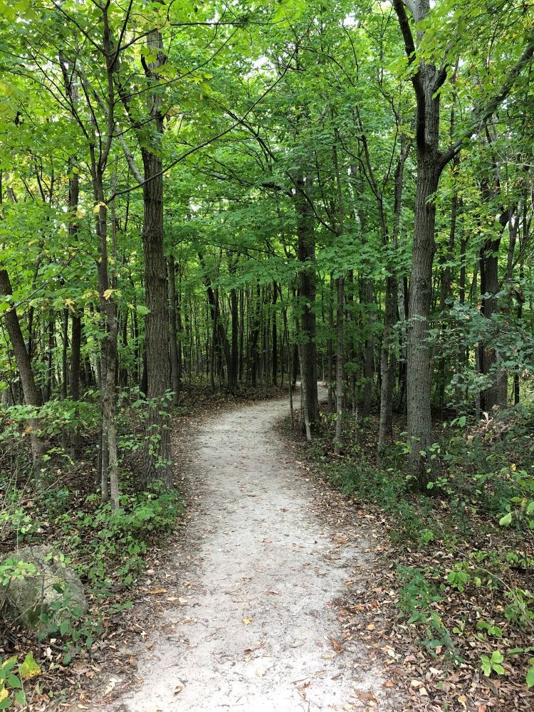 A hiking trail