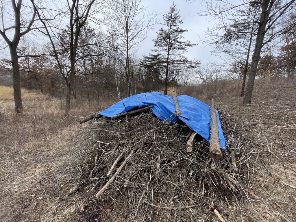 A brush pile in winter covered by a blue tarp.