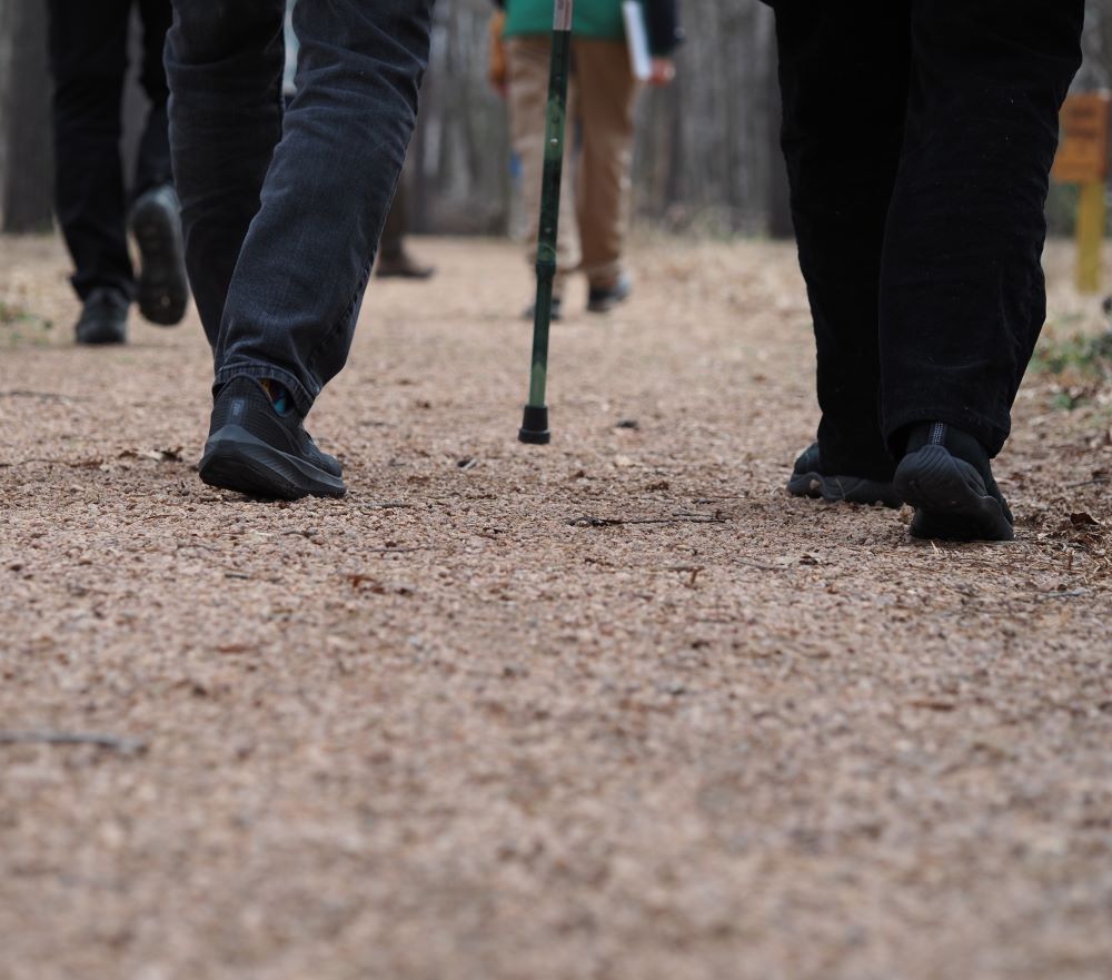 people walking on a trail