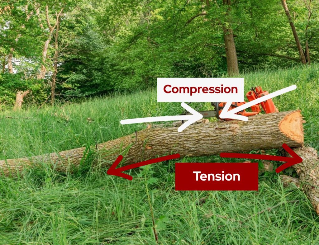 A log with one end on the ground and one end supported by another log