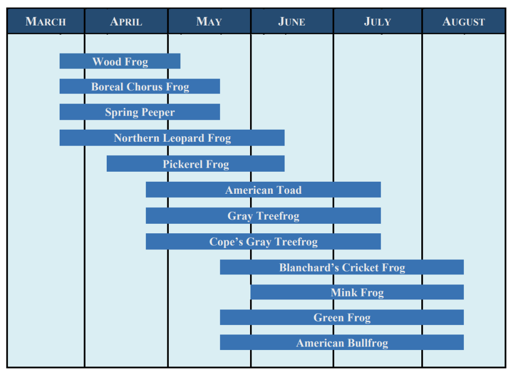 Chart showing the phenology of frog and toad songs throughout the year in Stevens Point, Wisconsin.