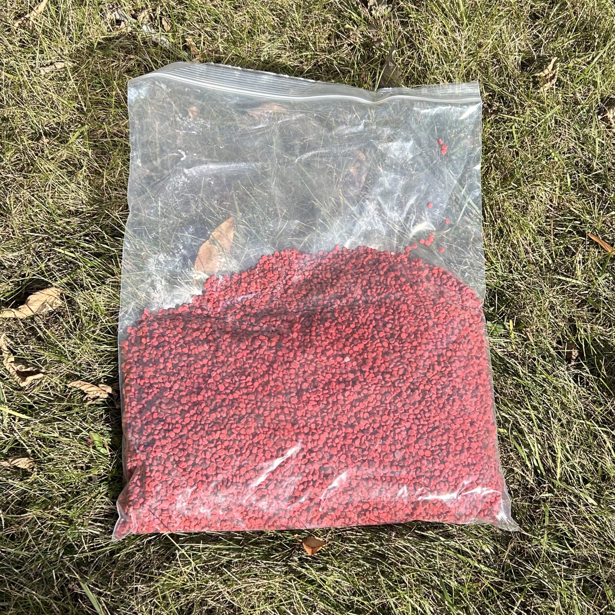 bag of American ginseng seeds
