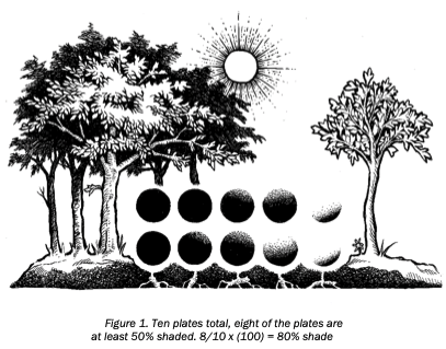 determine shade in woods with 10 paper plates